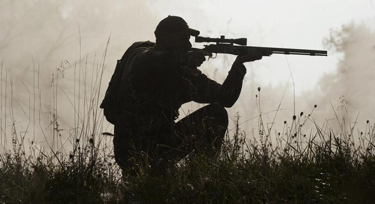 As principais regras de caça no Brasil