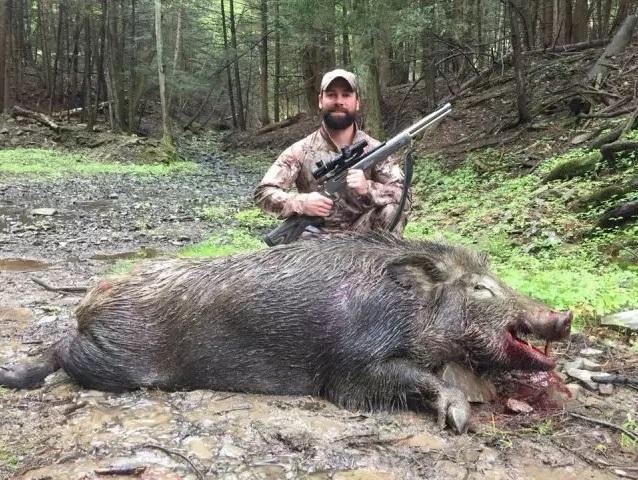 Caça de Javalis no Brasil
