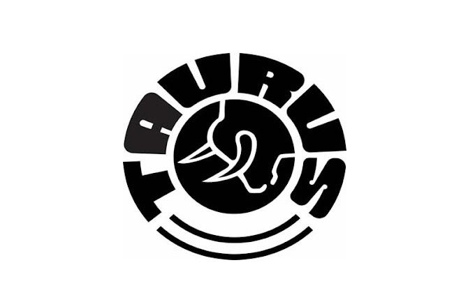 Taurus - Conheça sua história