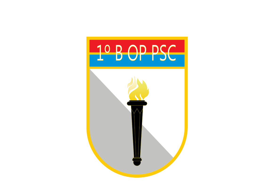 1º Batalhão de Operações de Apoio à Informação (1º B OP PSICO)