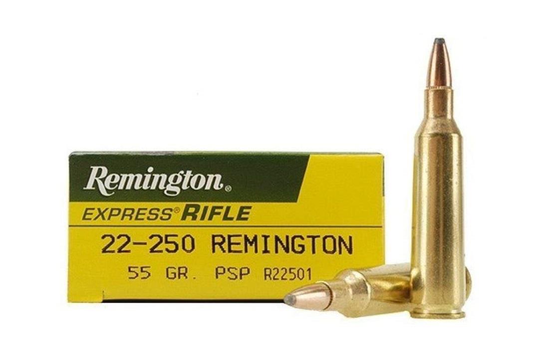 O Calibre 22-250 Remington