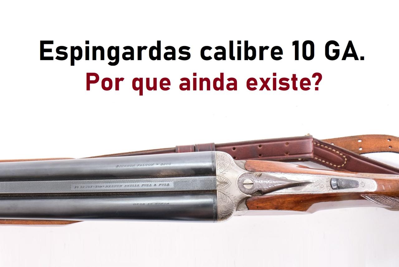 Espingarda calibre 10: Existe alguma razão para ela ainda existir nos EUA?