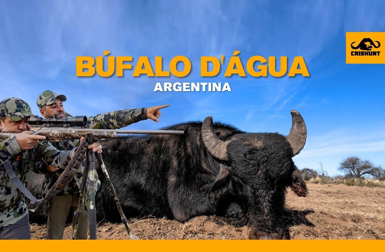 A difícil caçada de um Búfalo d'água na Argentina