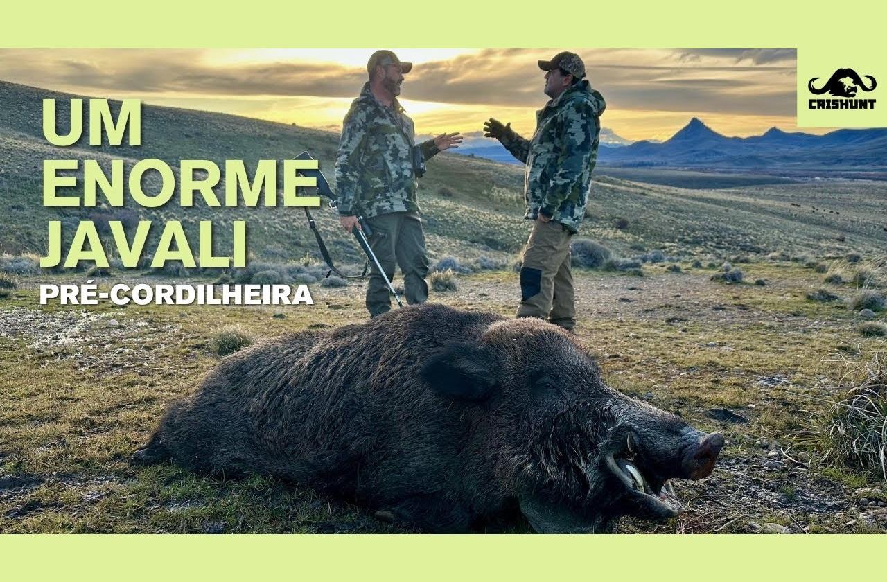 Caçando um grande javali na Pre'-Cordilheira!