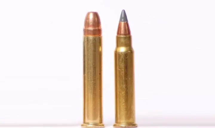 17 HMR x 22 MAGNUM