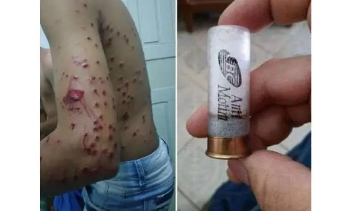 Cartuchos Antidistúrbios / Antimotim