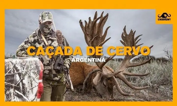 Em busca do cervo colorado na Argentina