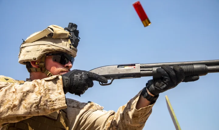 Evolução da espingarda de combate