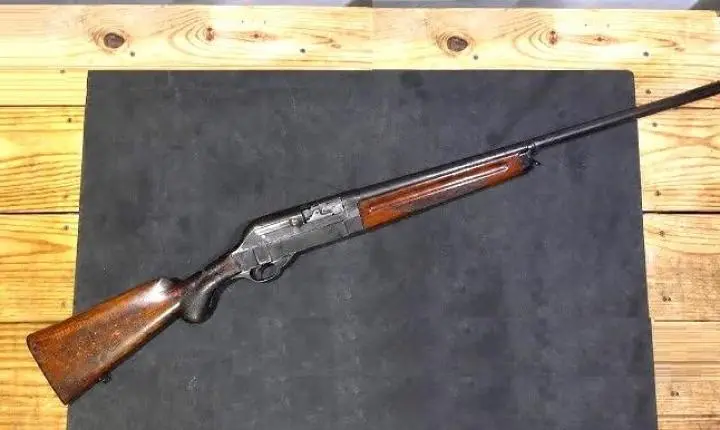 Espingarda automática Walther (Walther Toggle Action)