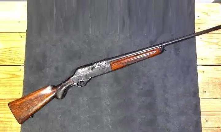 Espingarda automática Walther (Walther Toggle Action)